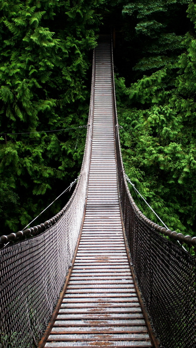 Forest Wooden Suspended Bridge iPhone Wallpaper Ipod HD