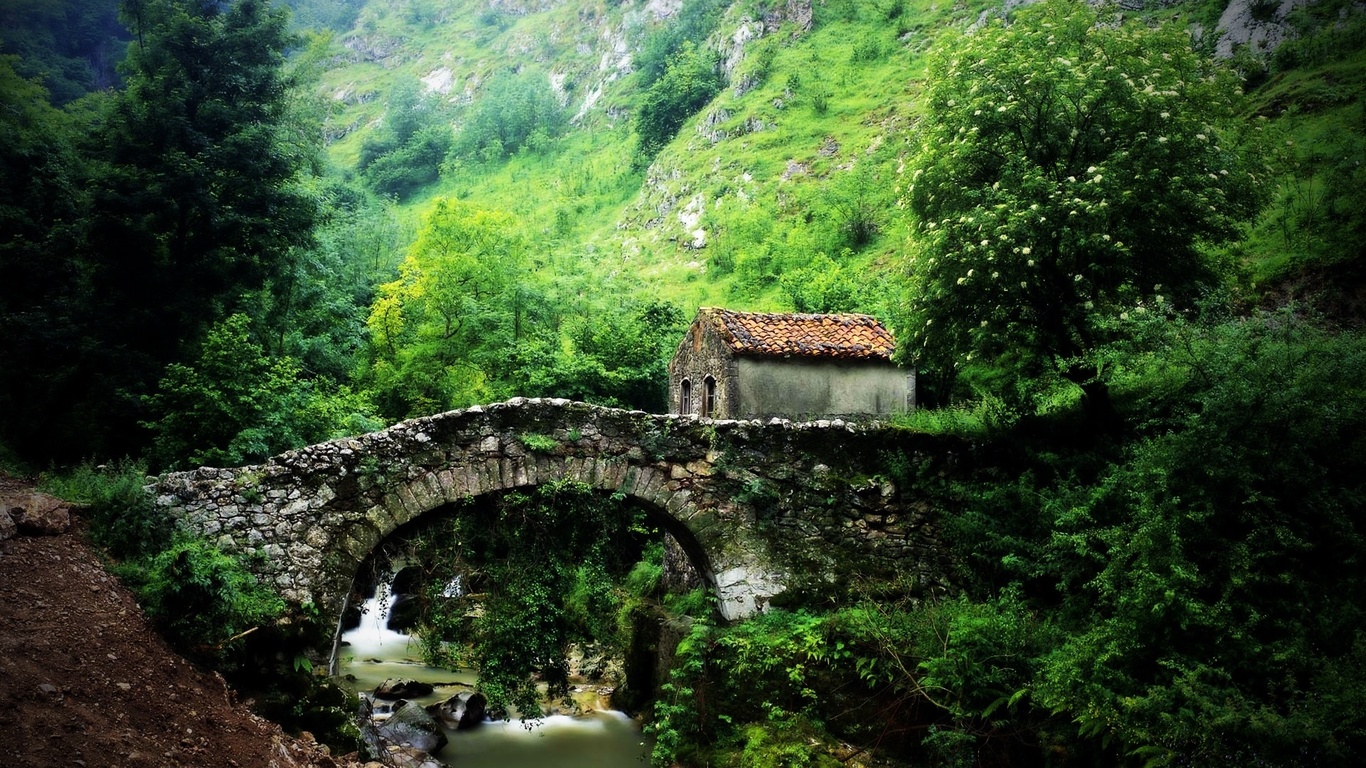 Wallpaper stone bridge a mountain river Nature Widescreen on the 1366x768