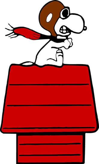 Profile Pics Campaign Against Child Abuse Snoopy Flying Ace