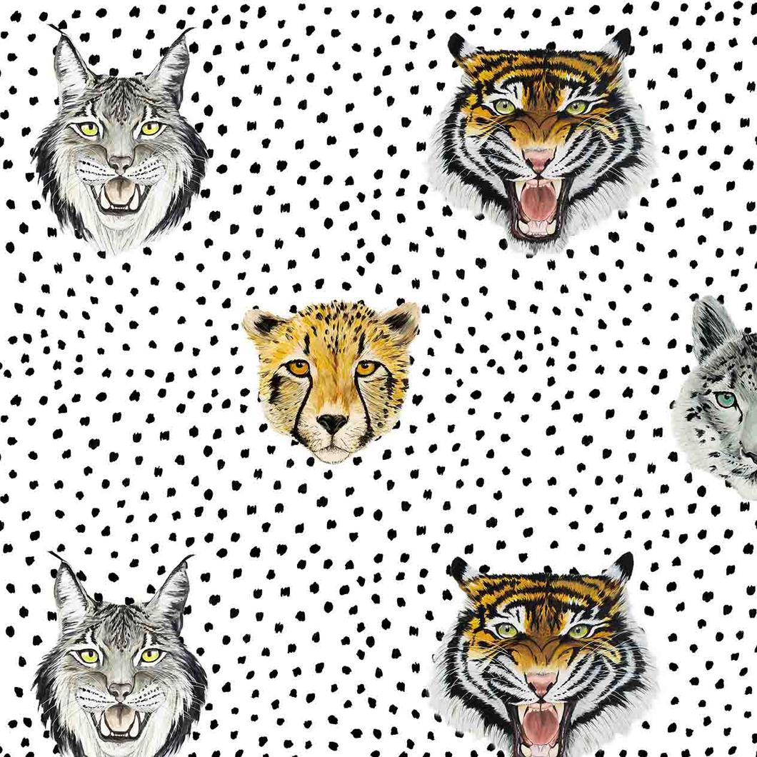 Wildcats Wallpaper Large Scale Wild Hearts Wonder