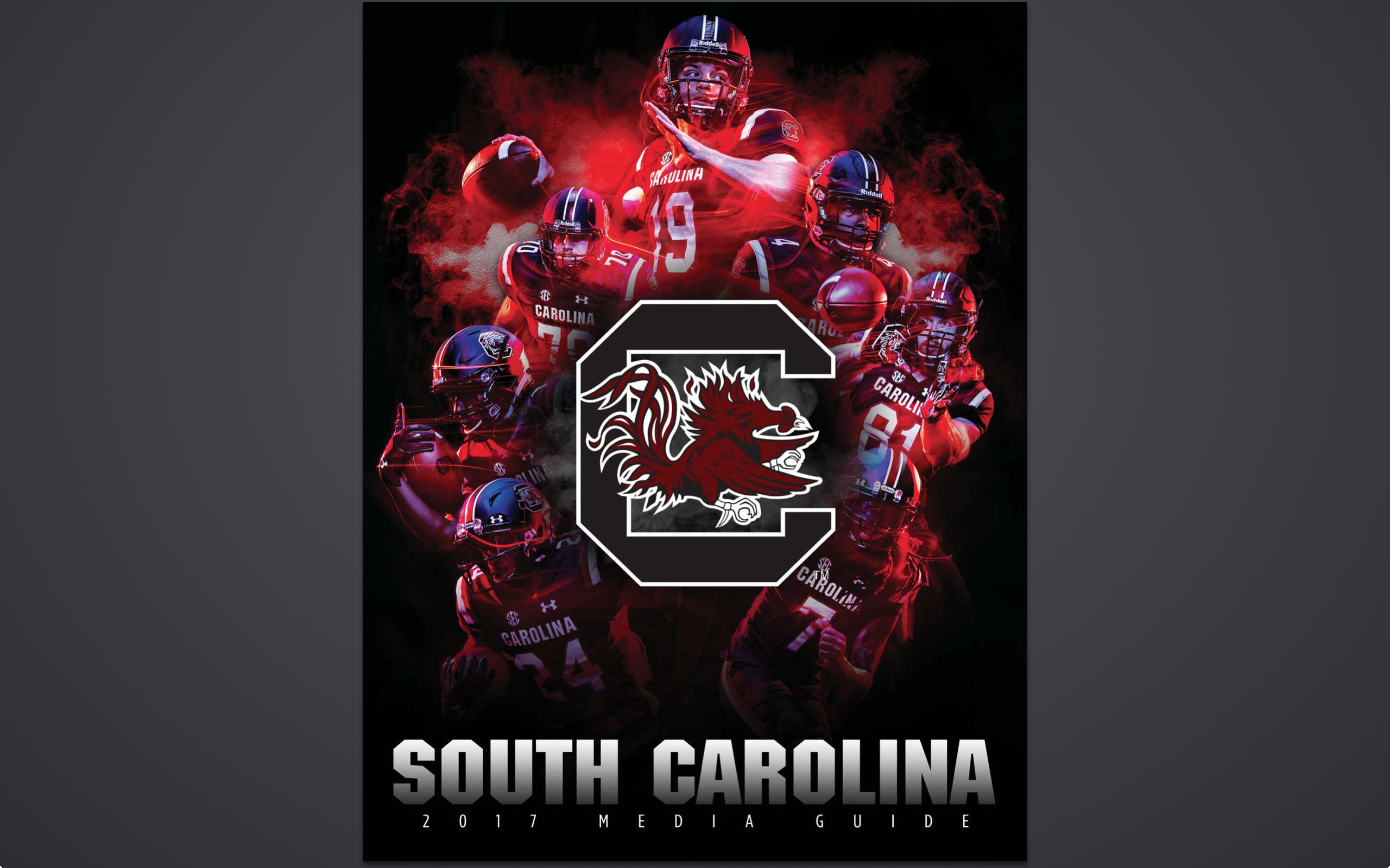 South Carolina Gamecocks Wallpaper Image