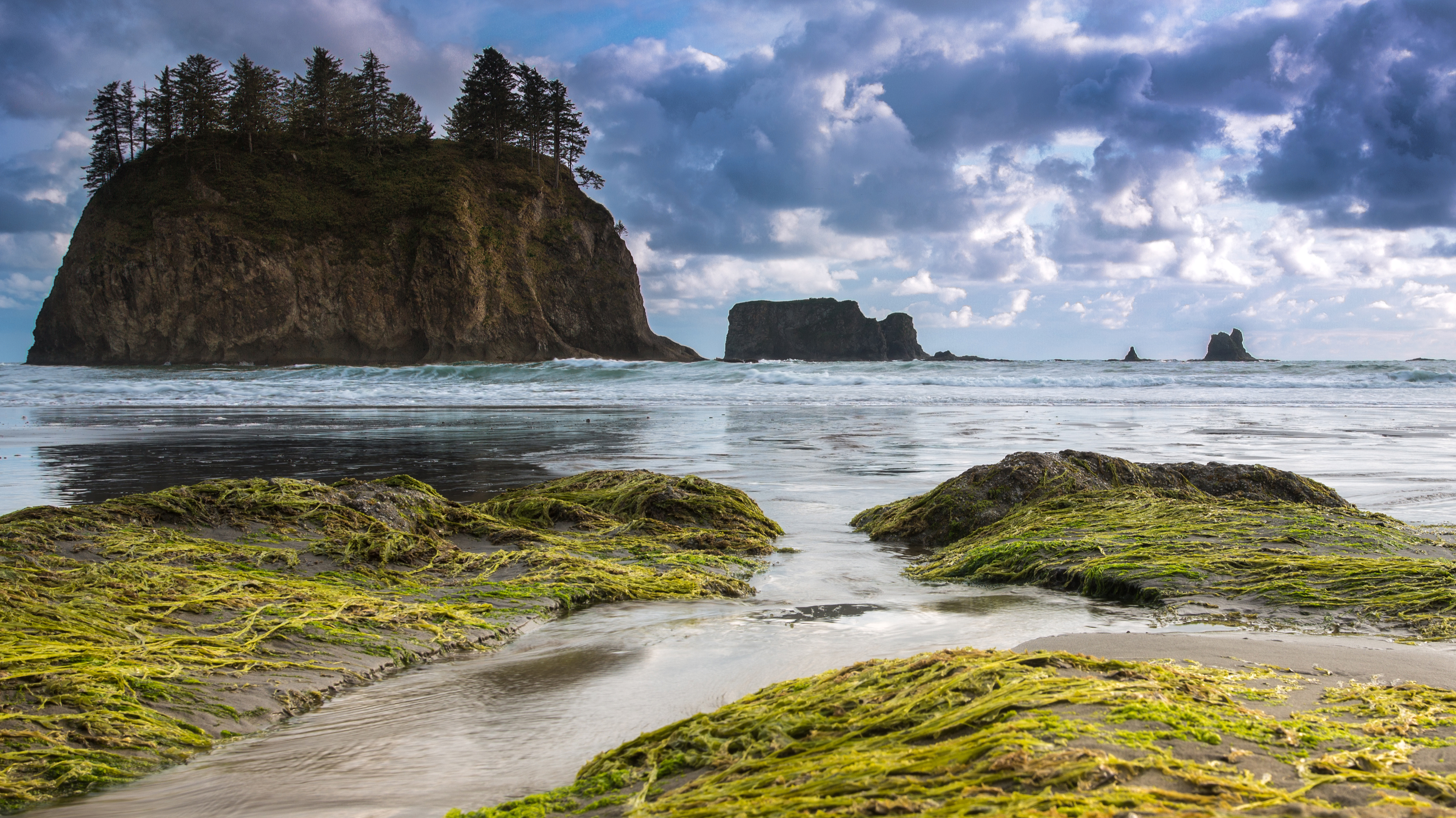 Olympic National Park HD Wallpaper Background Image
