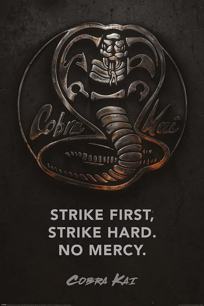 Amazon Cobra Kai Tv Show Poster Emblem Strike