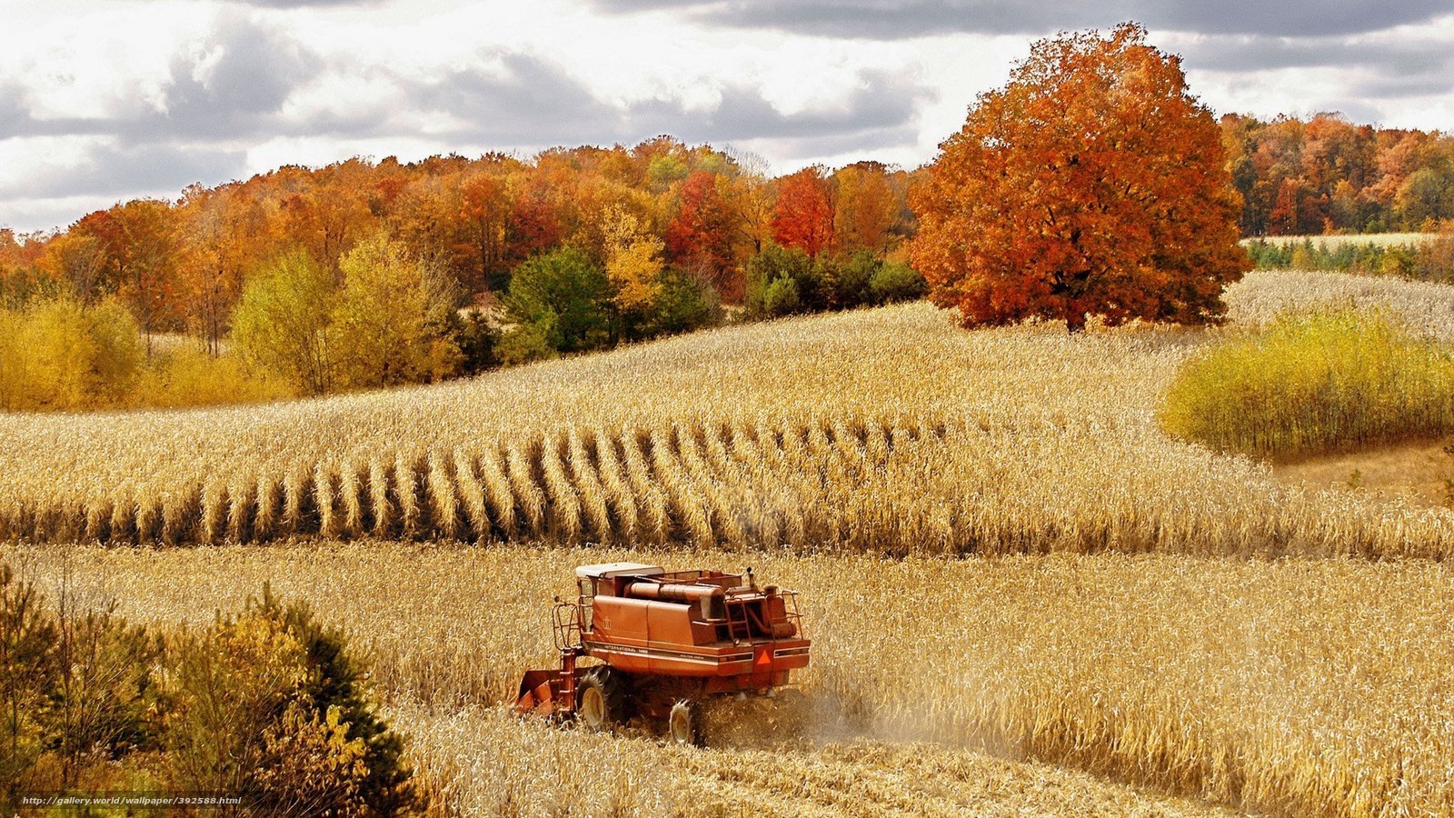 Wallpaper Autumn Field Harvest Desktop In