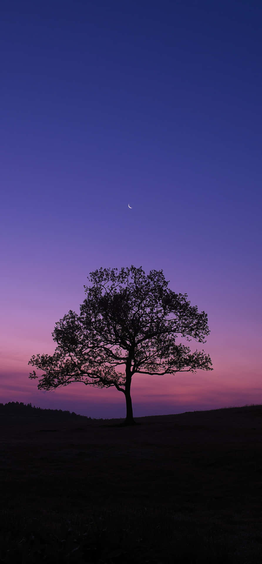 Dark Nature Wallpaper