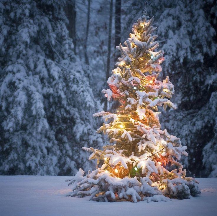 Neon Light On Snowy Christmas Tree iPad Wallpaper