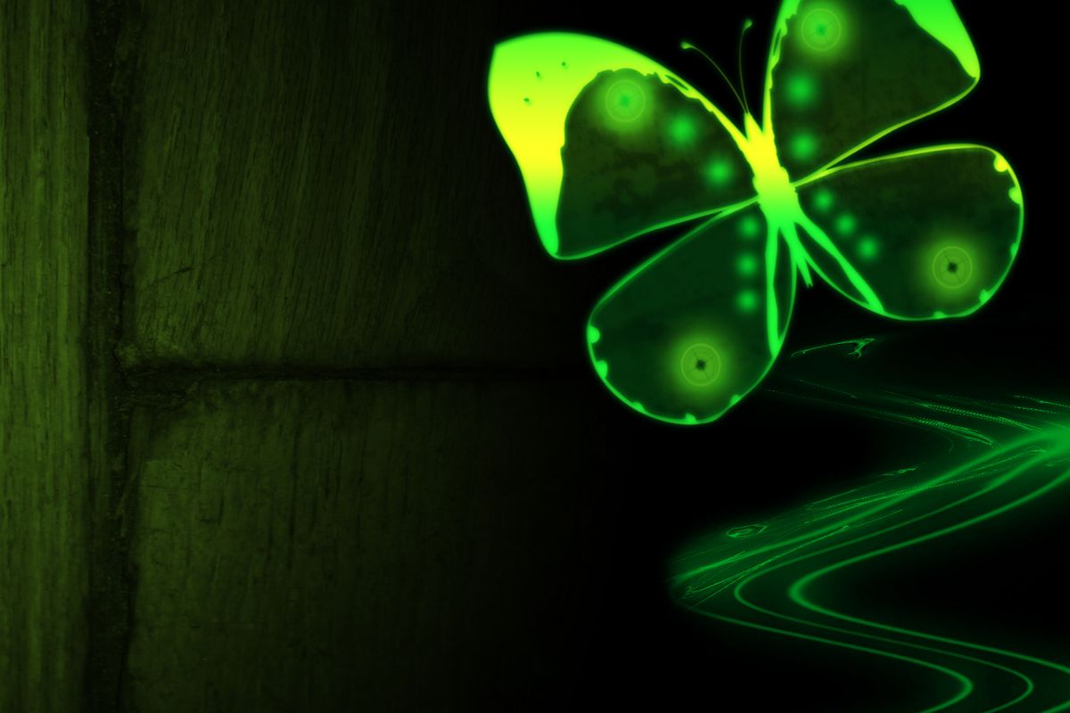 Cool Butterfly Green Neon Light Mariposa Wallpaper