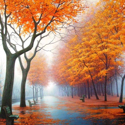 Free download 1920x1080 Yellow Trees In The Park Wallpaper [500x500