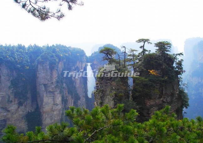 Scenic Area Incredible Pictures Of Yuanjiajie National Park In