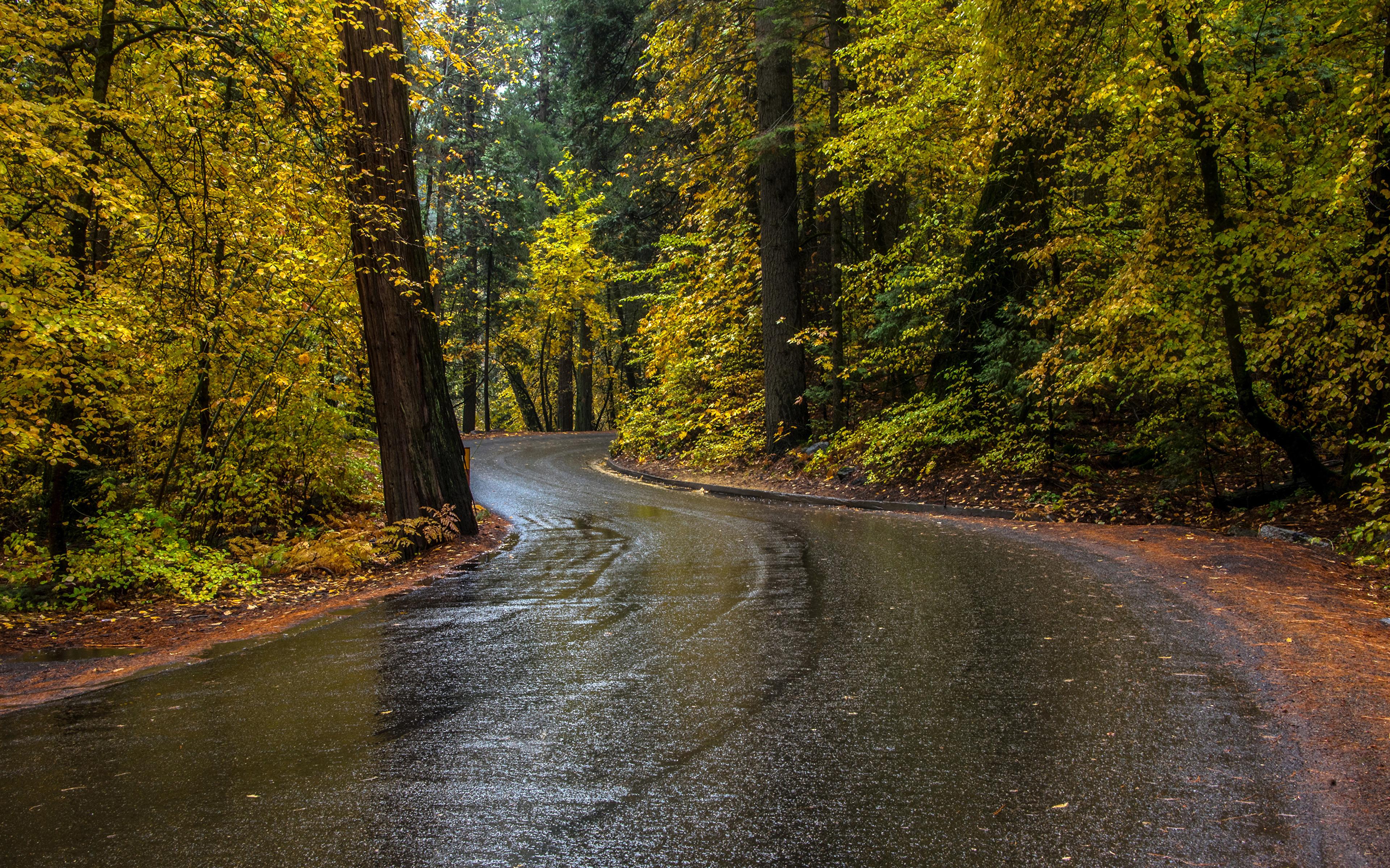 Desktop Wallpaper Yosemite Usa Autumn Nature Park Roads