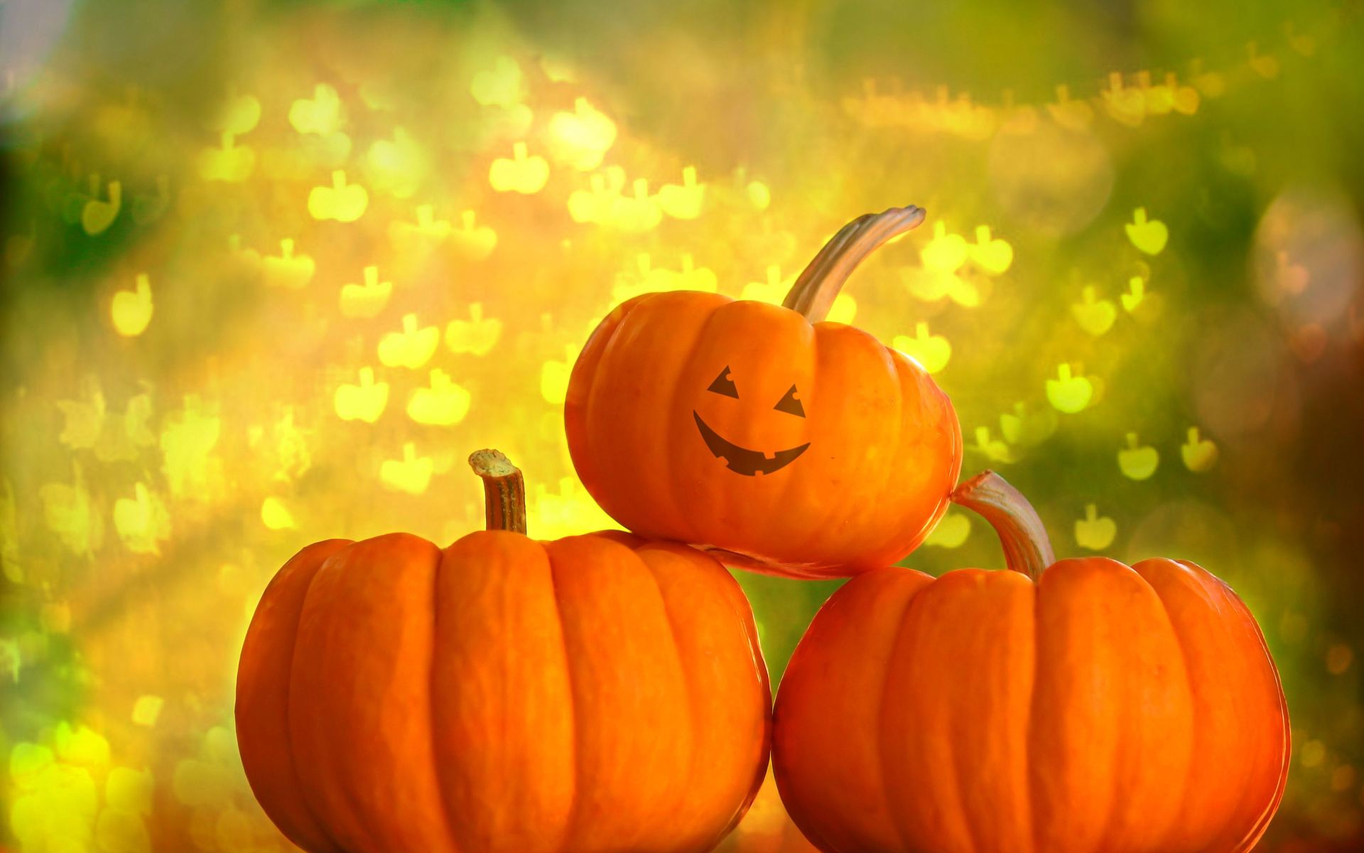 Halloween Photo Wallpaper