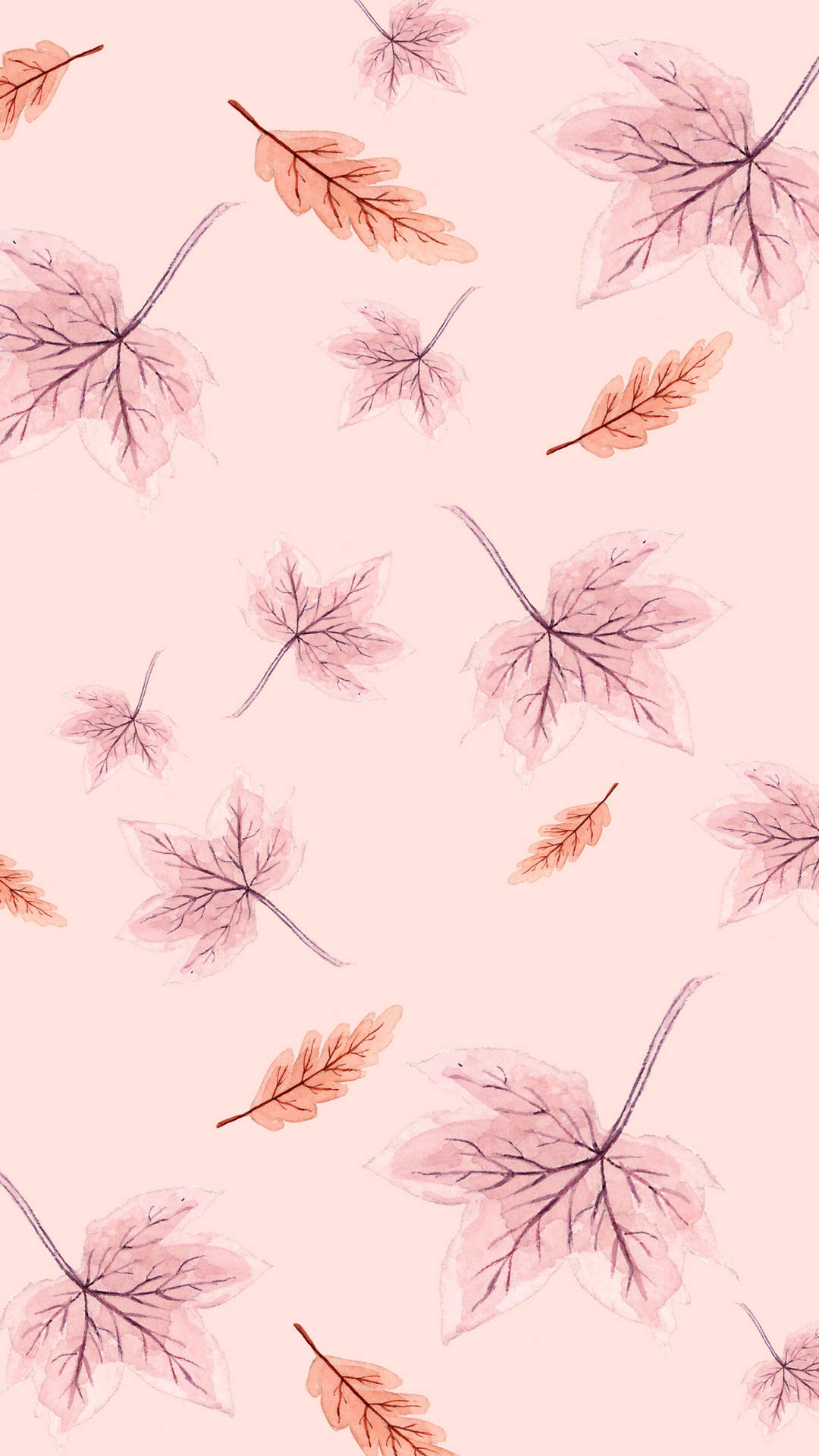 Enjoy The Beautiful Fall Season With Our Trendy Cute Phone Wallpaper