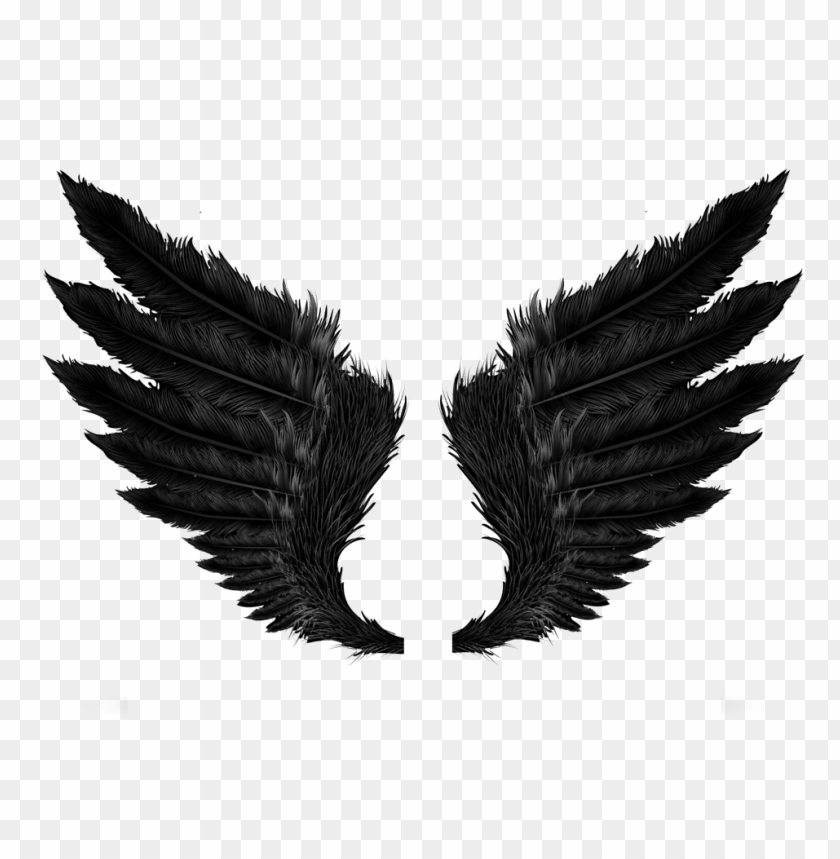 Black Angel Wings Png Image With Transparent Background Toppng