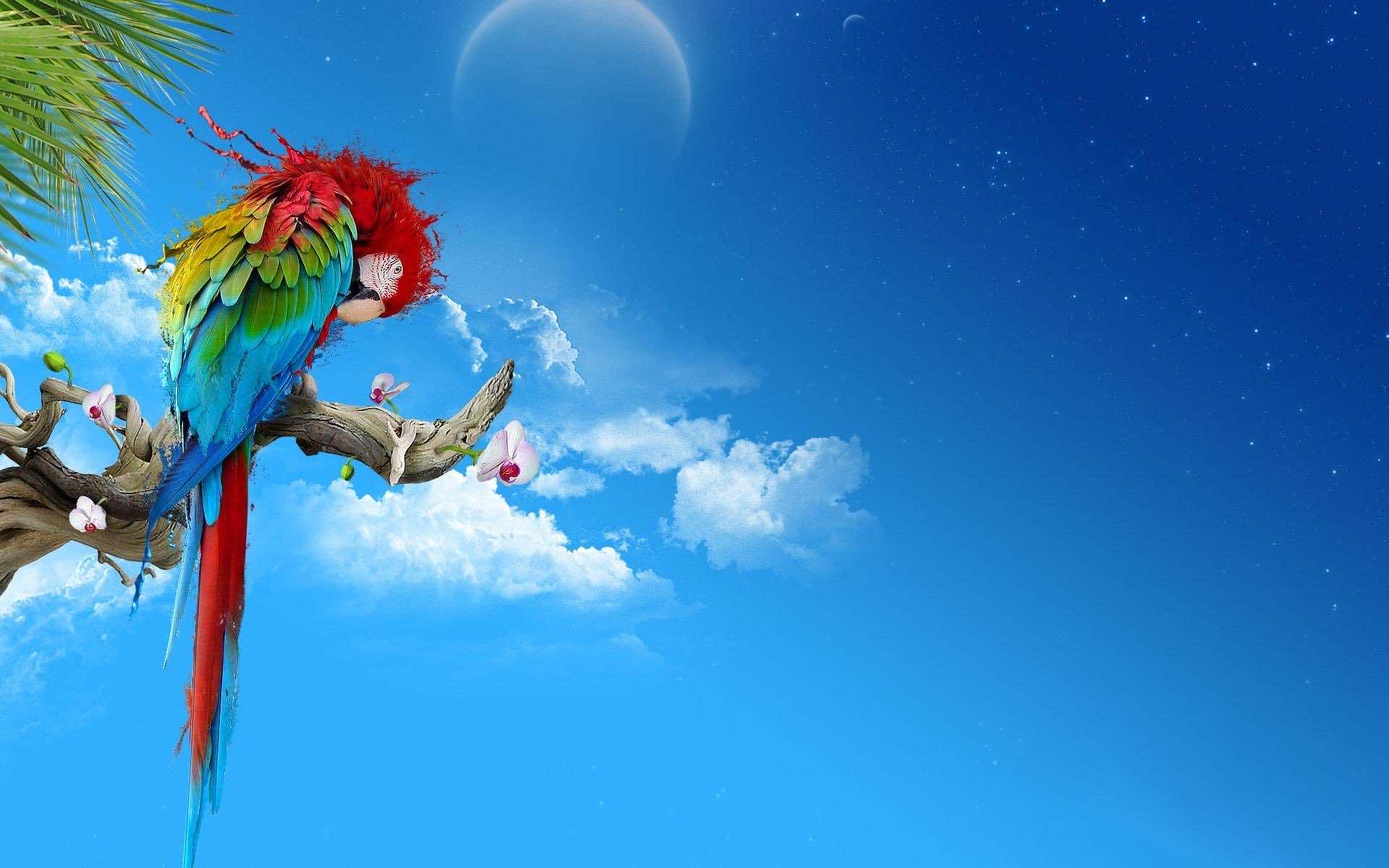 A colorful parrot perched on a branch against a vibrant blue sky with a large moon and wispy clouds. This whimsical image evokes a sense of freedom and tropical beauty