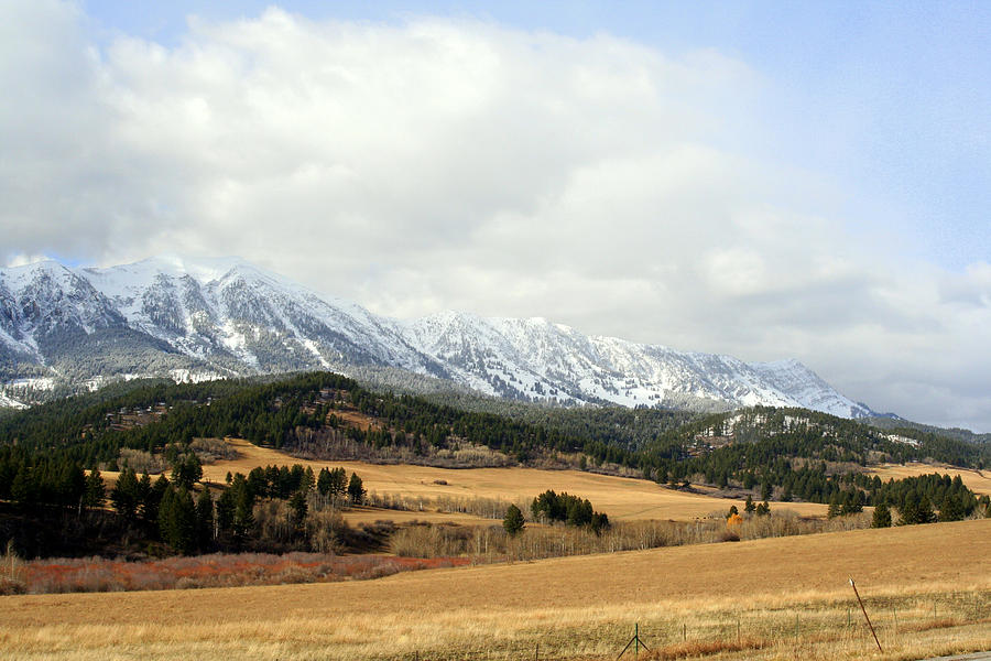 Montana Mountains By Lynn Bawden