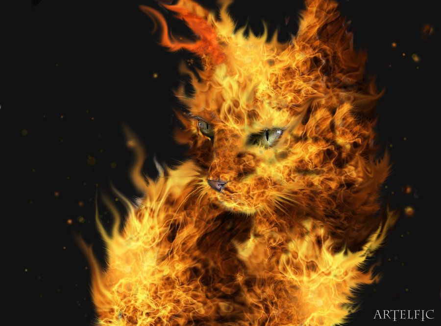Fire Cat By Artelfic Art Cats Wallpaper
