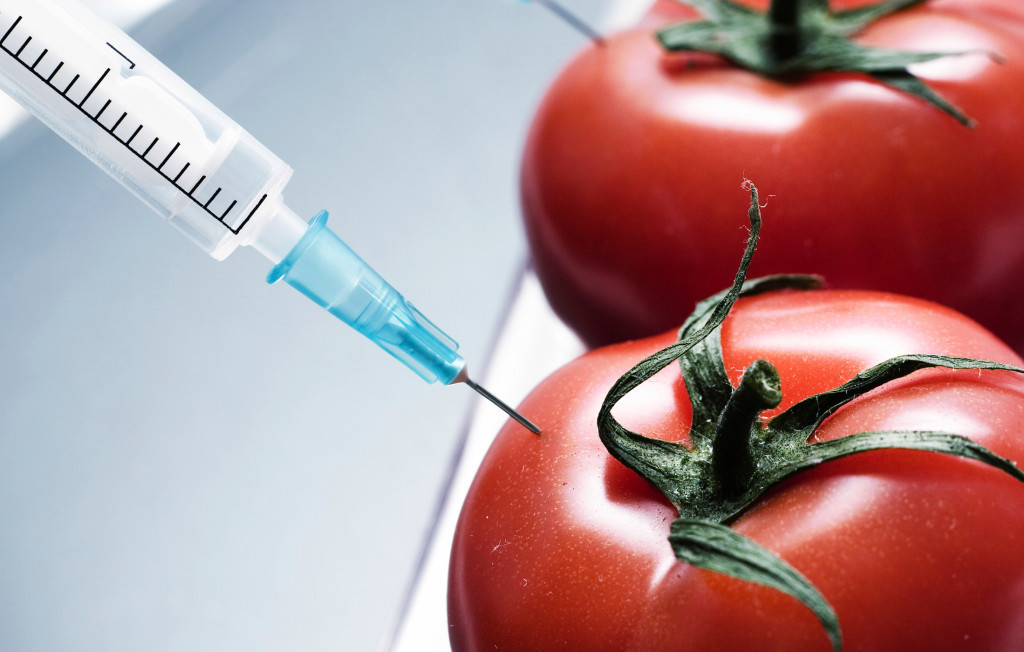 The Us And Europe On Threshold Of Gmo War