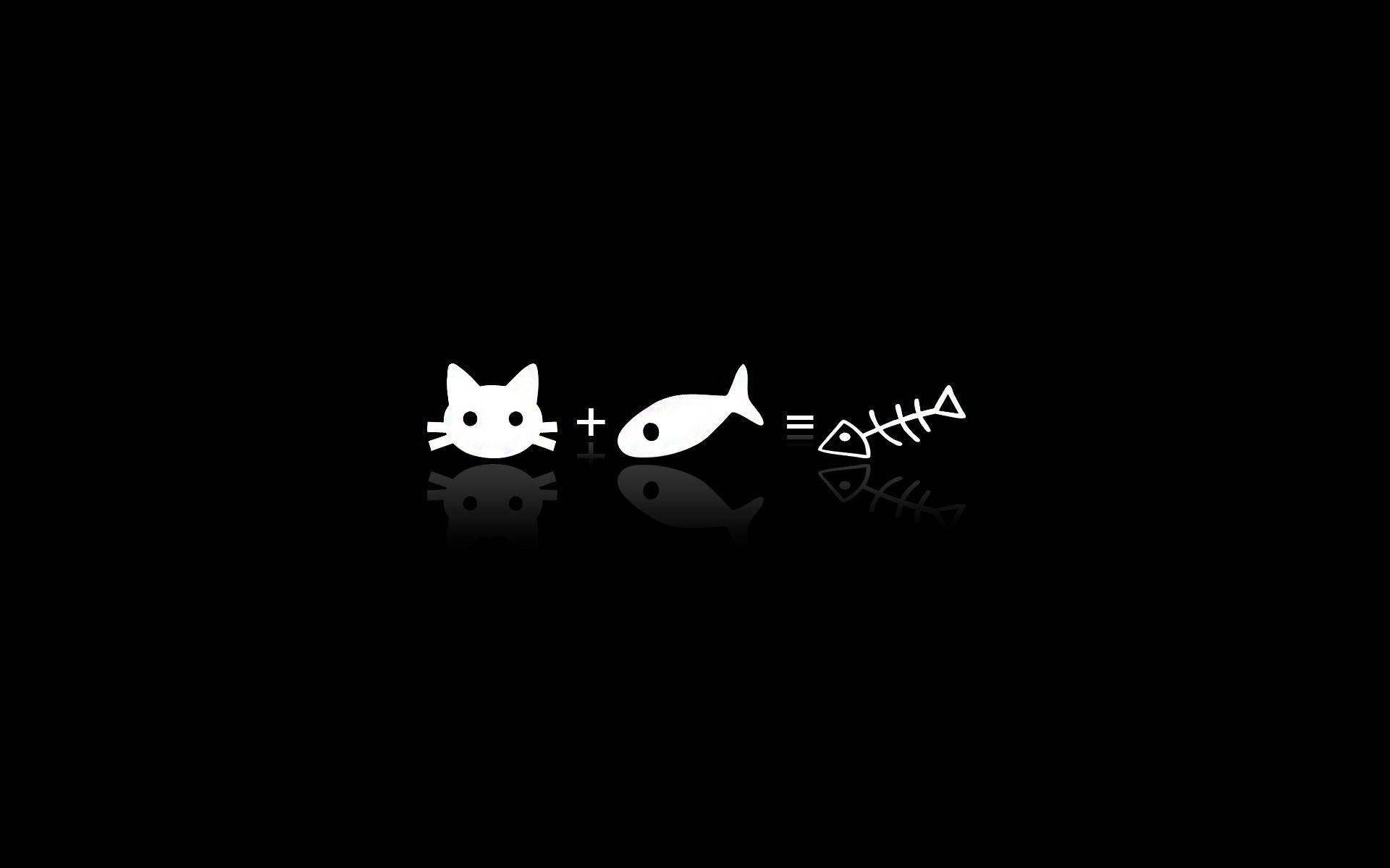 Download Cat And Fish Aesthetic Black And White Laptop Background