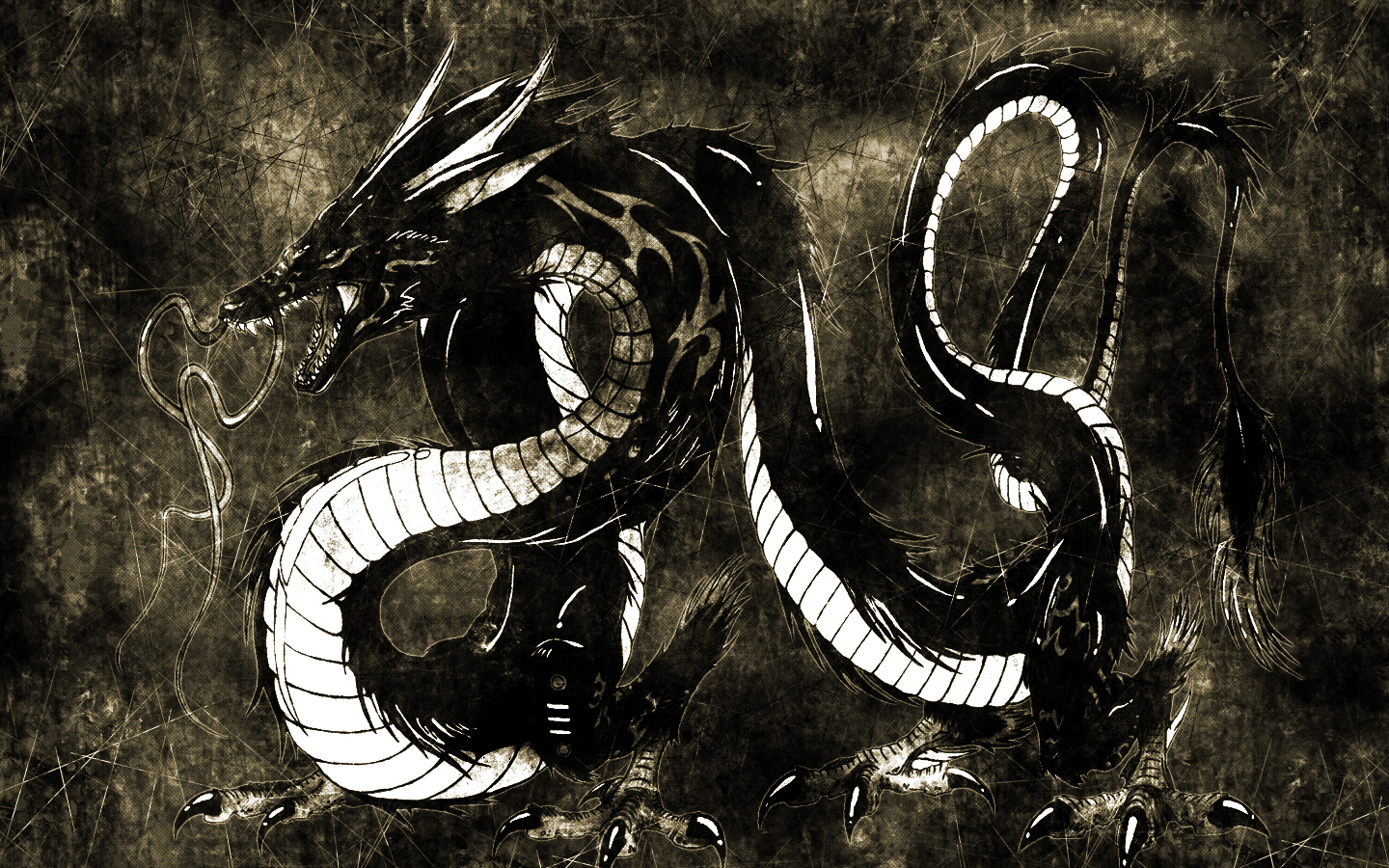 Dragon Photo Black Wallpaper For Desktop