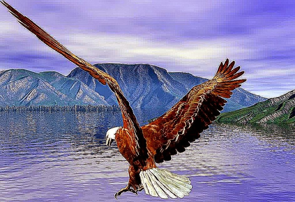 Eagle Painting Wallpaper Animals For Gt