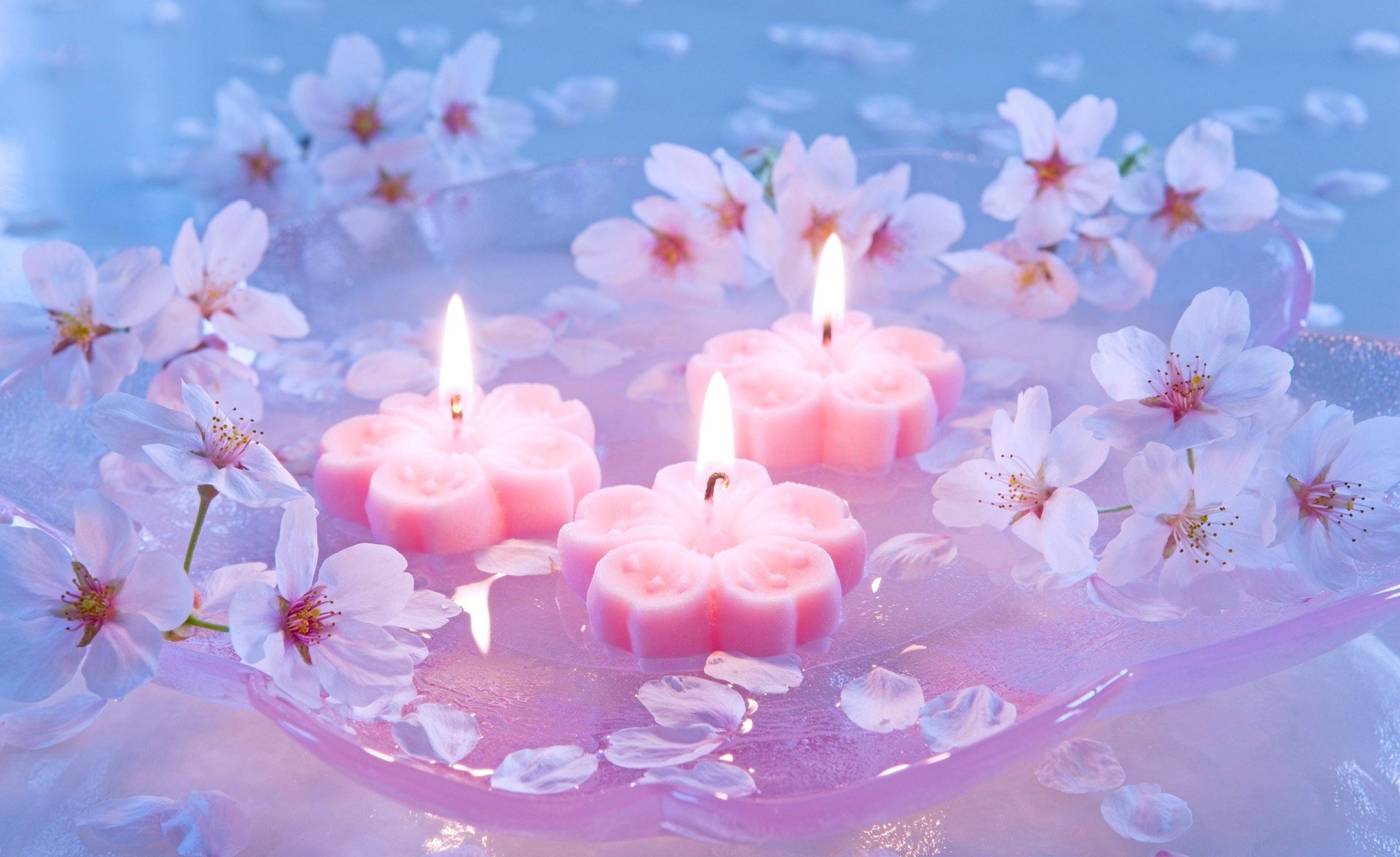 Candles And Cherry Flowers Other Stock Photos iPhone