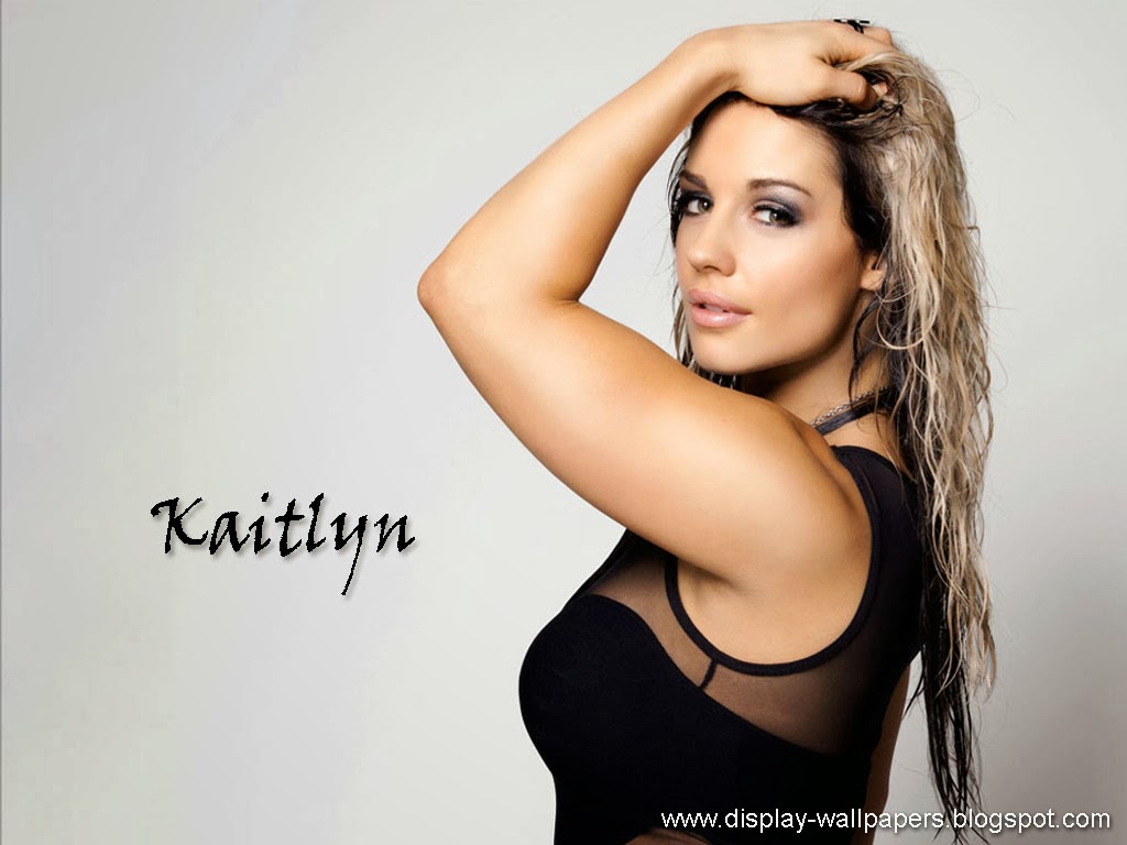 49+] WWE Kaitlyn Wallpaper - WallpaperSafari