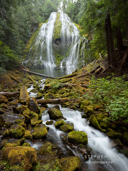 Home Wallpaper Proxy Falls Willamette National Forest Oregon