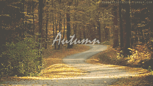 autumn background 500x281