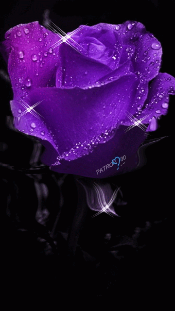 Trippy Purple Rose