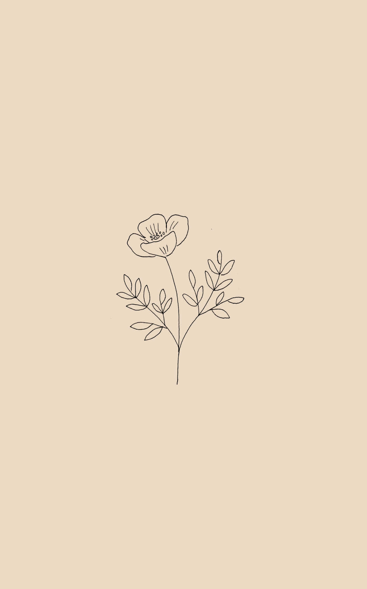 Simple Flower Wallpaper S