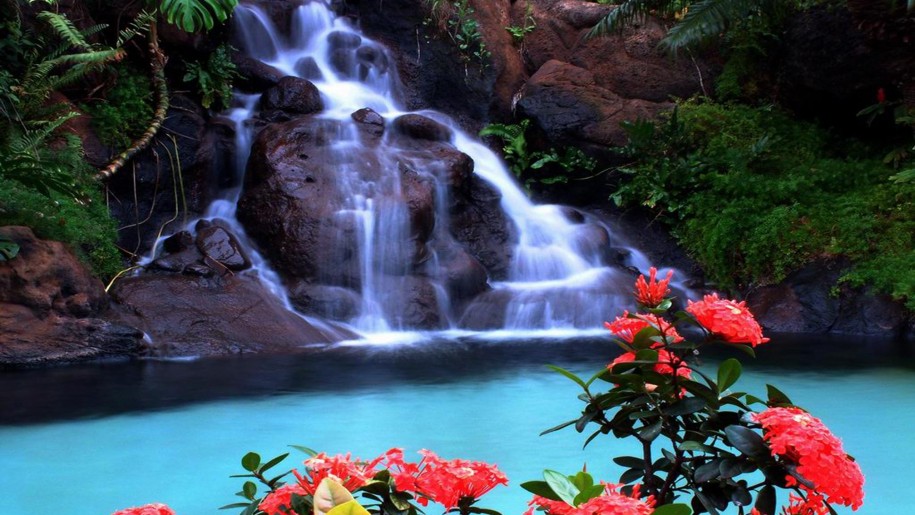 Your Desktop With This Stunning Tropical Waterfall Wallpaper