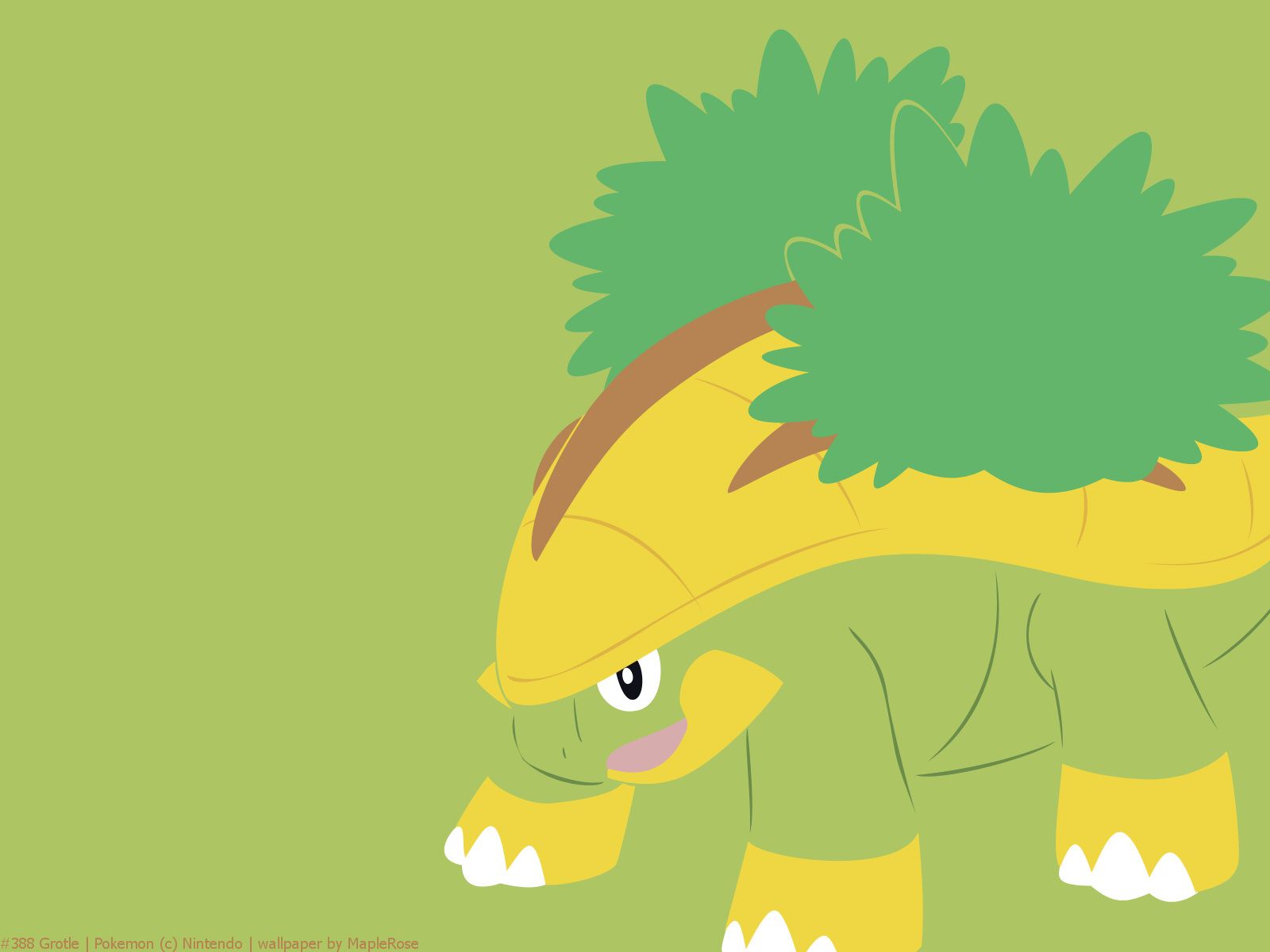Image For Turtwig Wallpaper