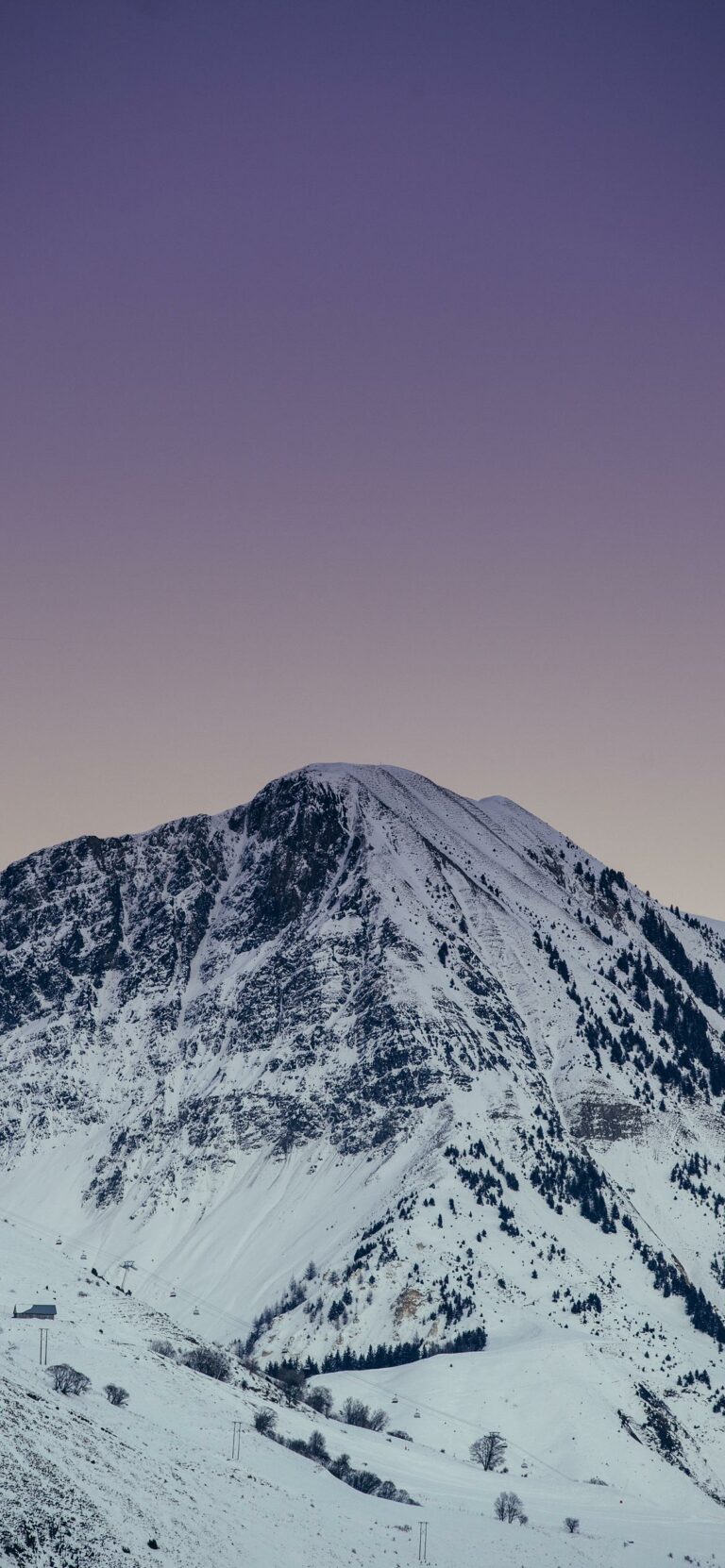 Wallpaper