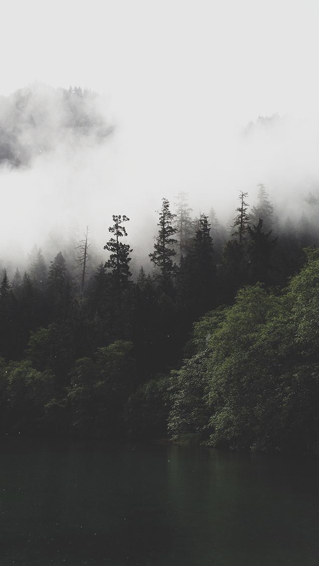 Mountain Forest Lake Misty iPhone Wallpaper