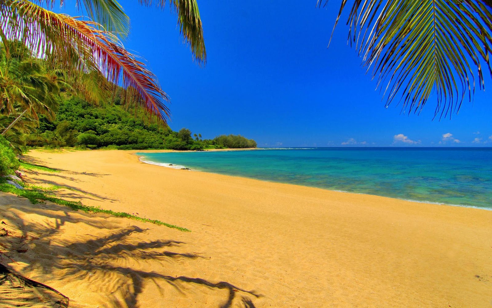 Kauai Hawaii Travel Guide And Info