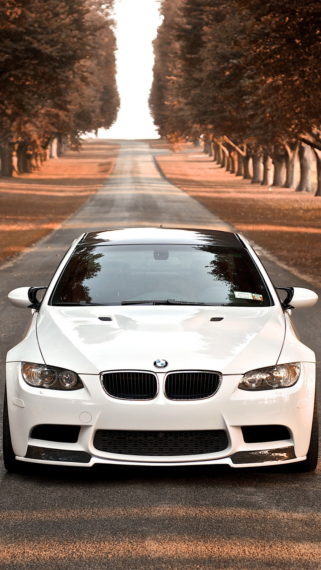 Download Rear View White BMW Mobile Wallpaper  Wallpaperscom