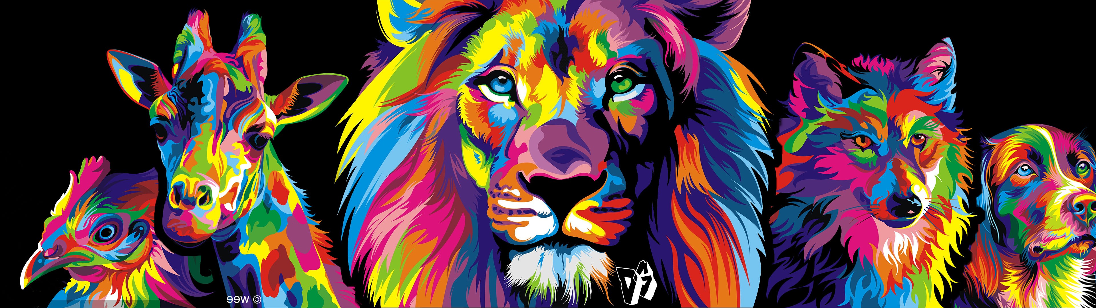 colorful lion wallpaper,lion,illustration,felidae,big cats,wildlife  (#627537) - WallpaperUse