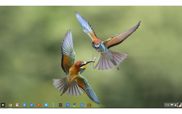 Free download the desktop wallpaper on ChromeOS Requires Dev channel of ...