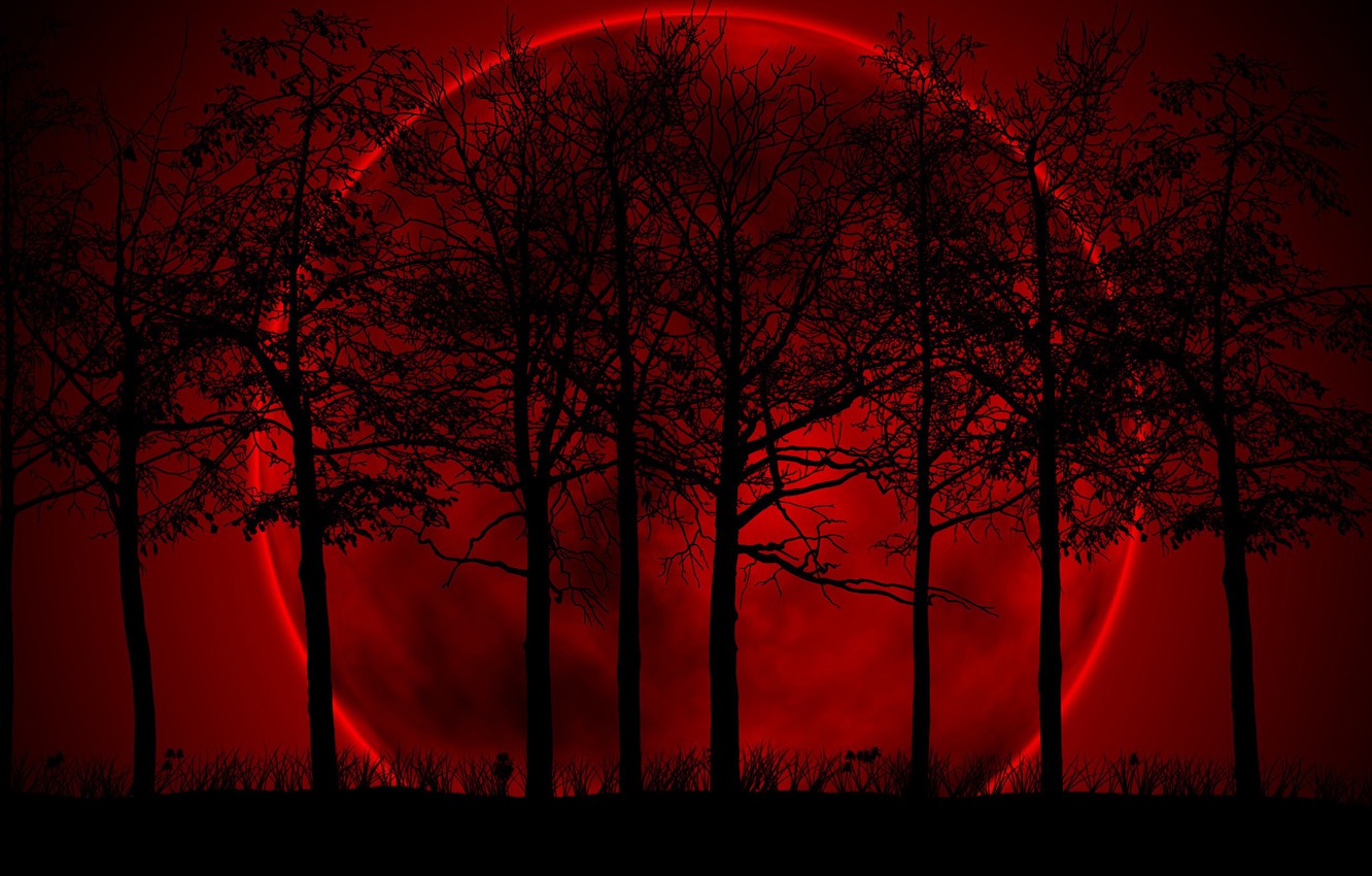 Wallpaper Red Background The Moon Darkness Black Trees
