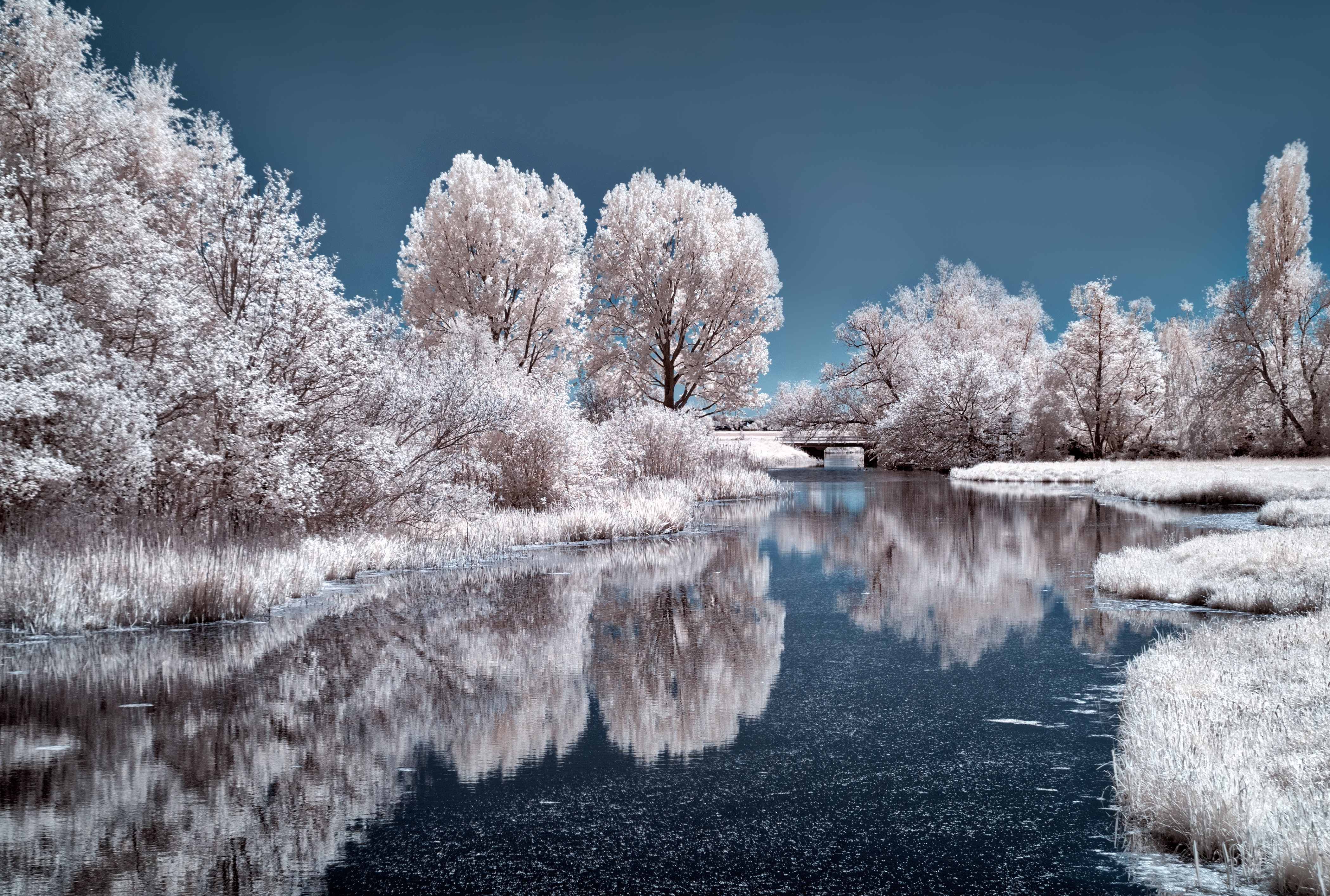 Ice Lake Frozen Trees 4k HD Nature Wallpaper Image Photos And Picture
