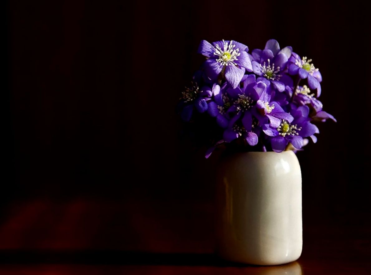 Purple Flowers Bouquet In Vase Desktop Wallpaper Spot