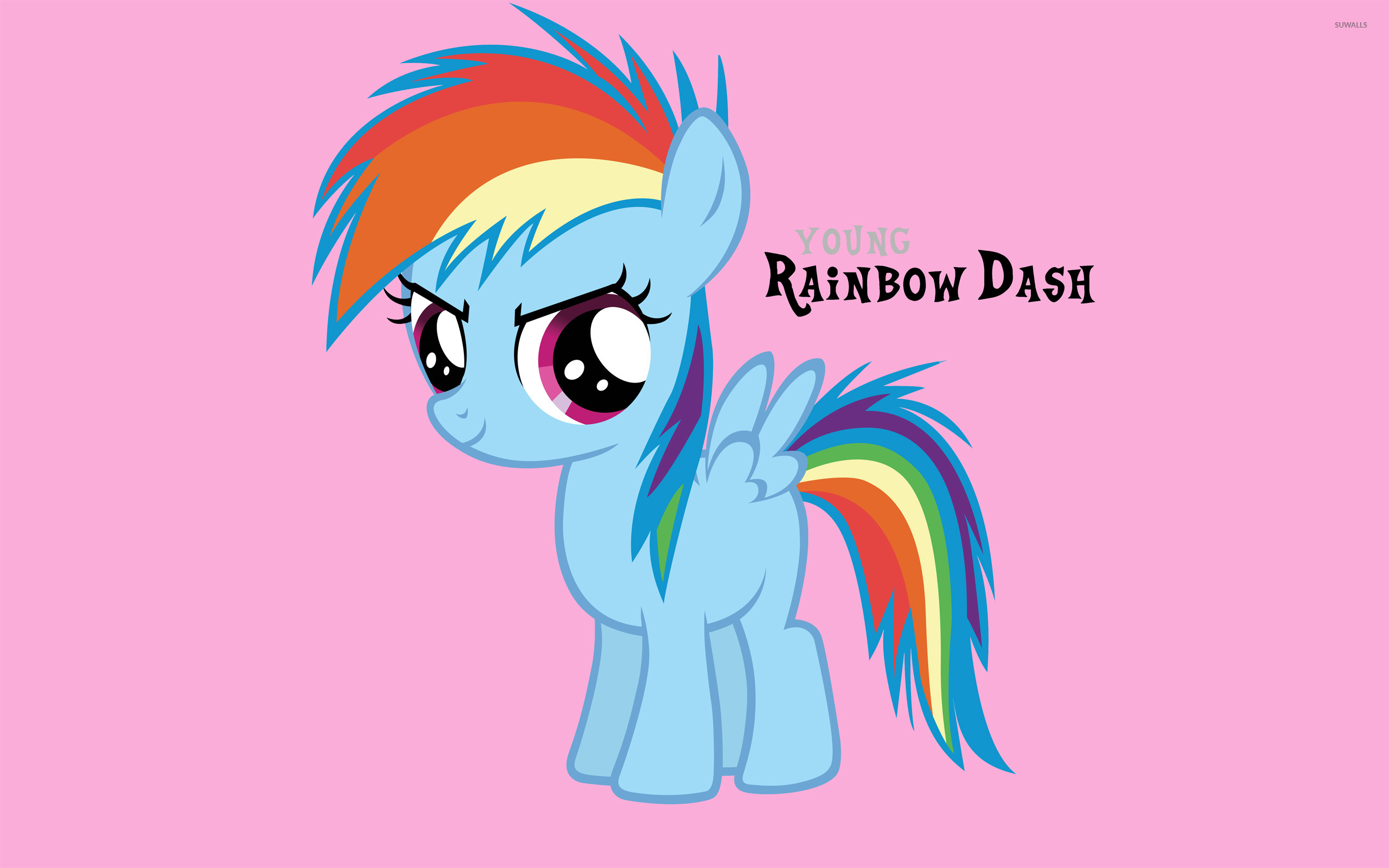 Young Rainbow Dash Wallpaper Cartoon