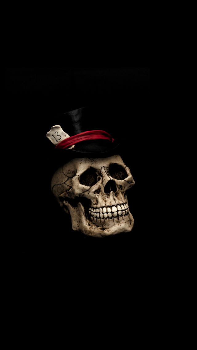 Skull iPhone Wallpaper Background And