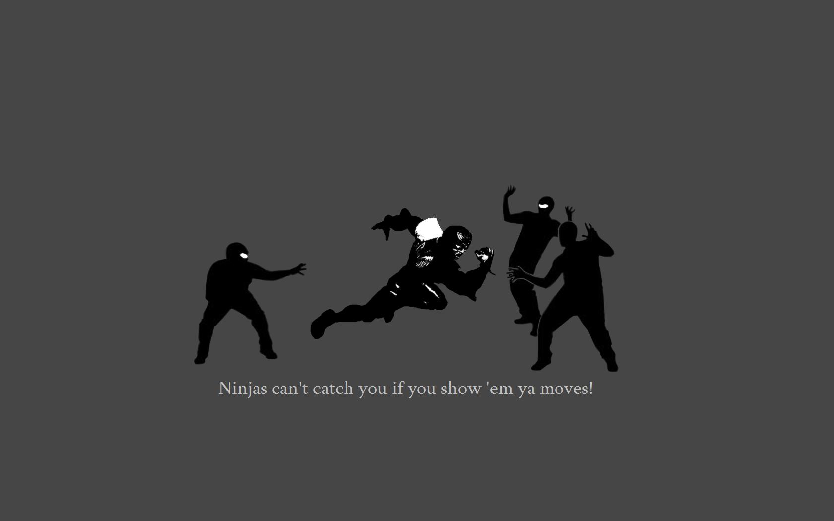 Ninja Puter Wallpaper Desktop Background Id