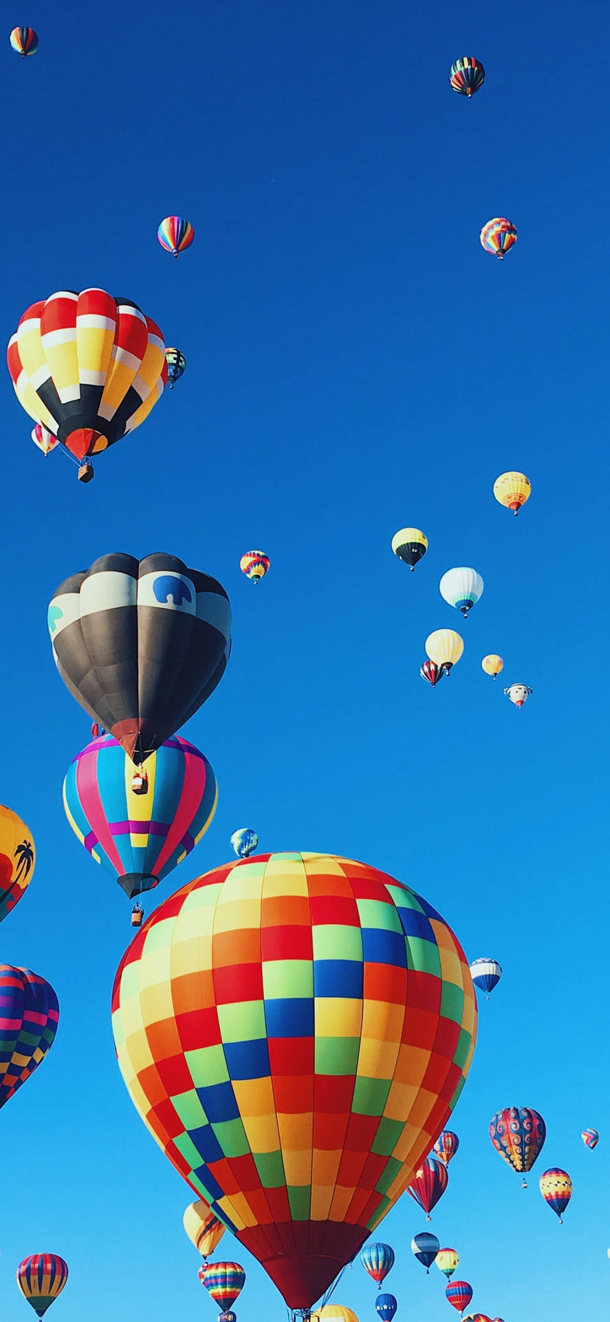 Hot Air Balloon Wallpaper