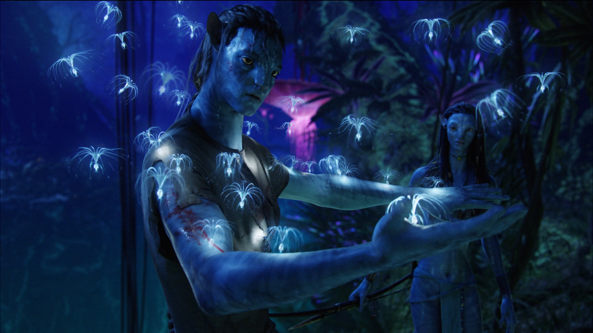 Avatar HD Wallpapers and Backgrounds