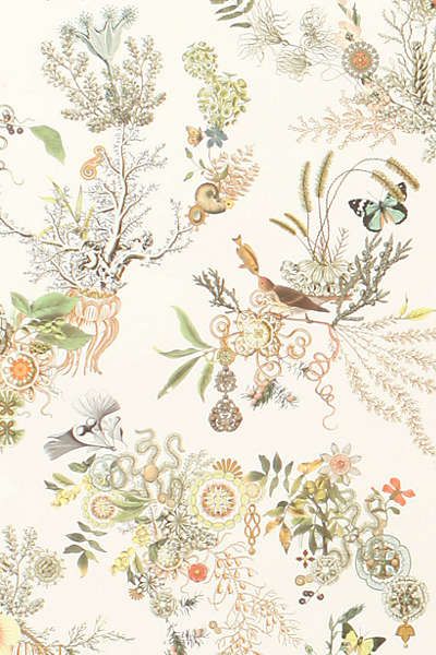 Topsy Turvy Wallpaper From Anthropologie