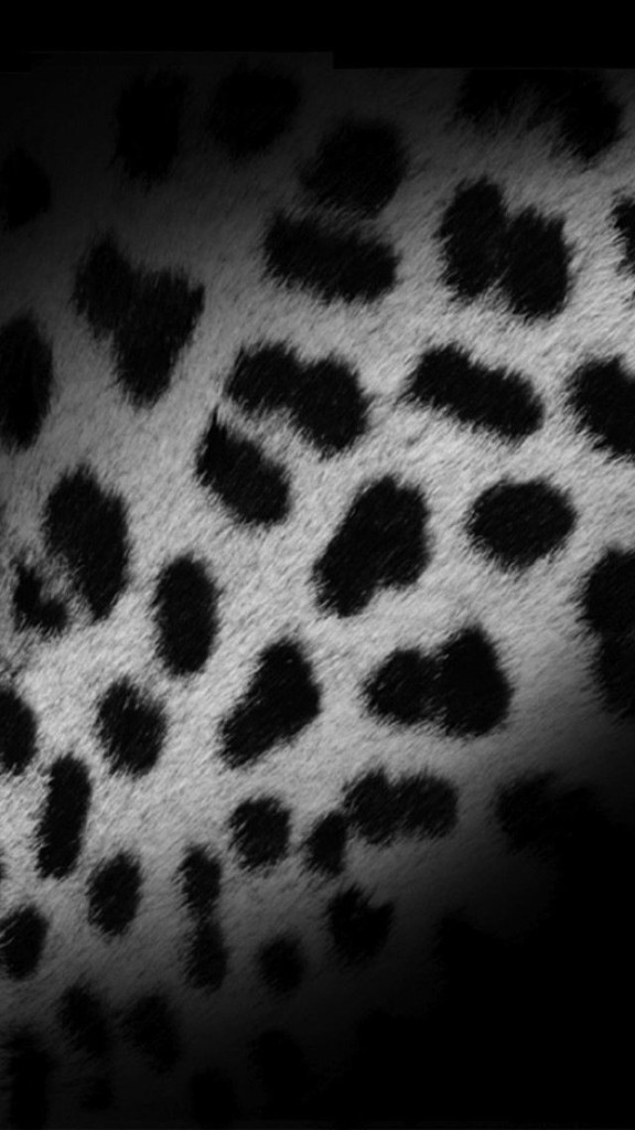 Black And White Leopard Skin iPhone Plus
