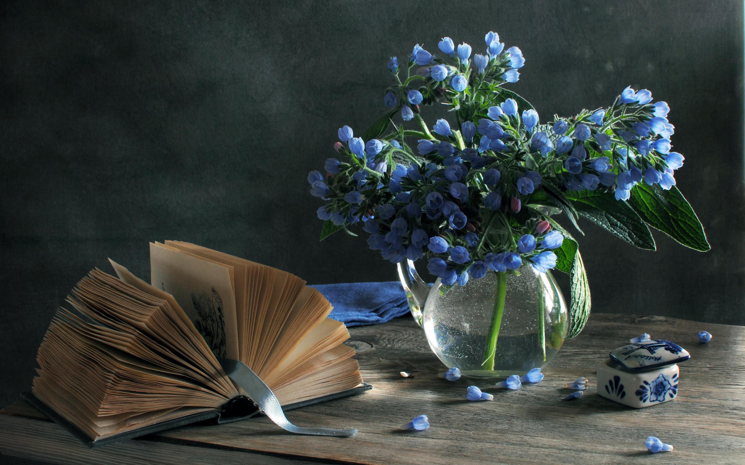 Serene Still Life Wallpaper