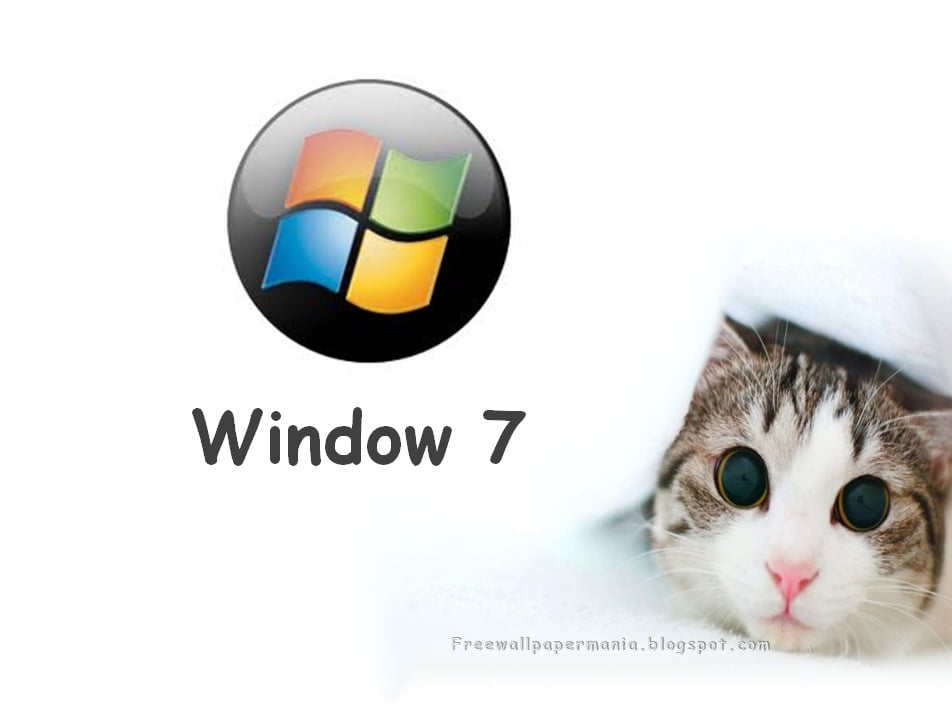3d Live Wallpapers For Windows 7 Free Download   Cat Peek A Boo